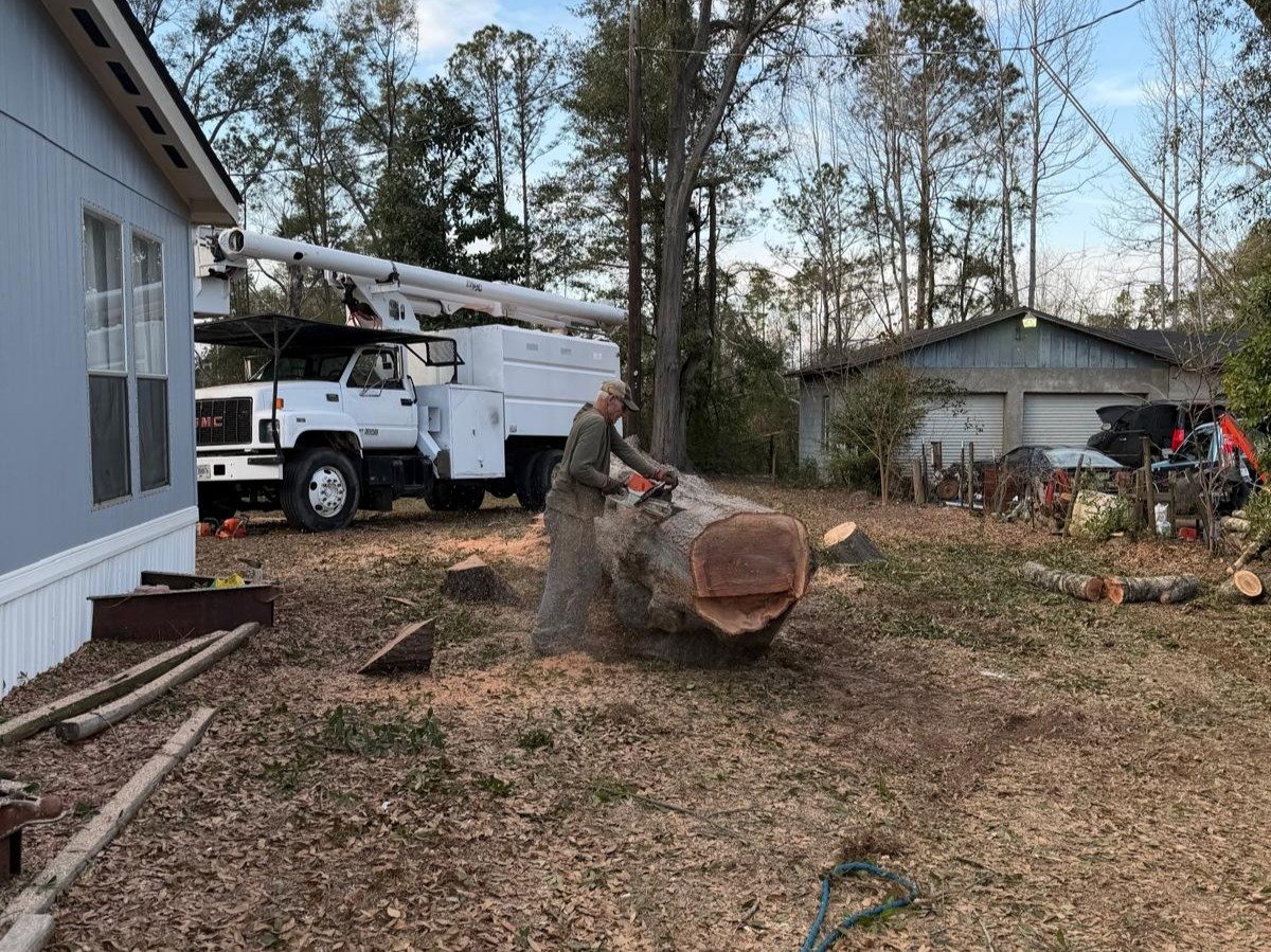 El Costeño Tree Service LLC